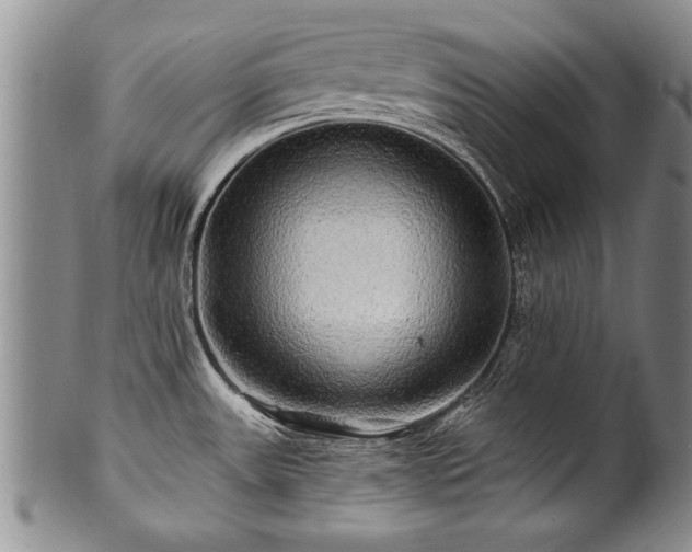 X0000100781531200806261617