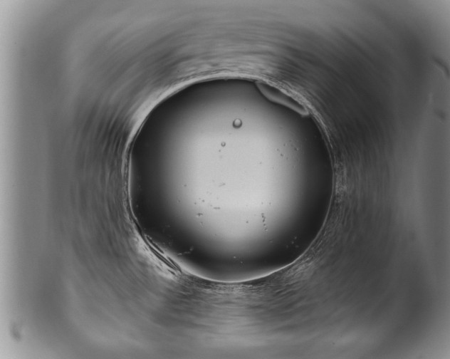 X0000100781532200806261617