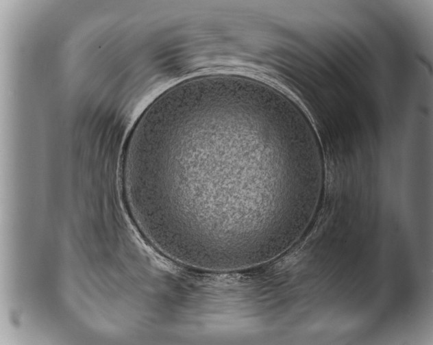 X0000100781533200806261617