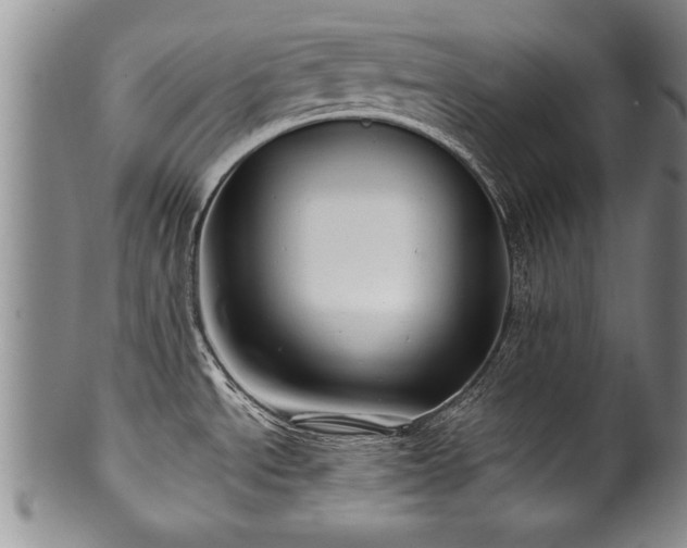 X0000100781534200806261617