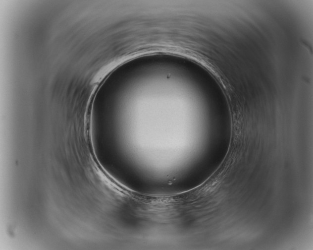 X0000100781535200806261617