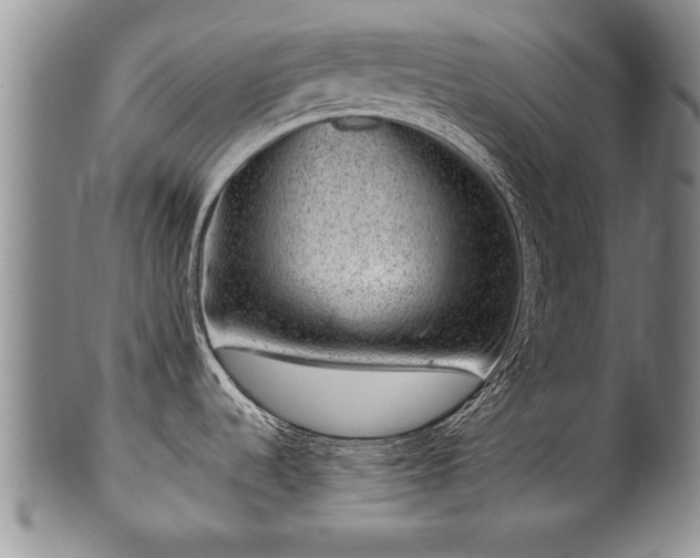 X0000100781536200806261617