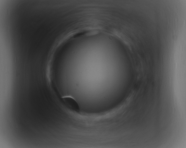 X0000100780002200807031241