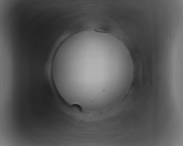 X0000100780003200807031241