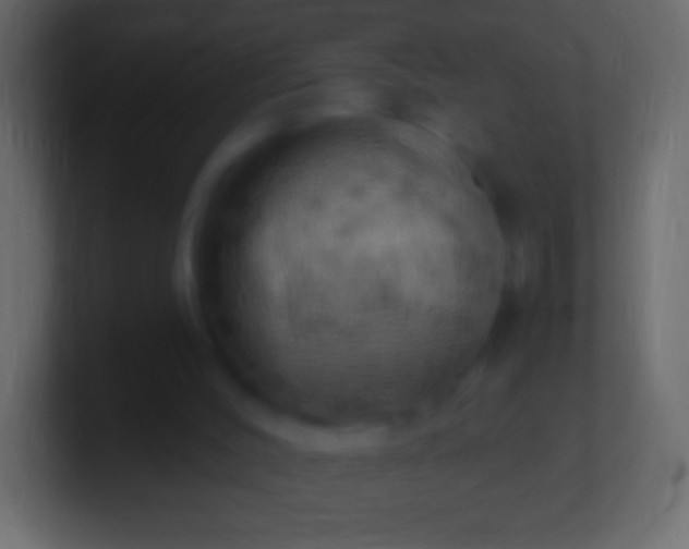 X0000100780004200807031241