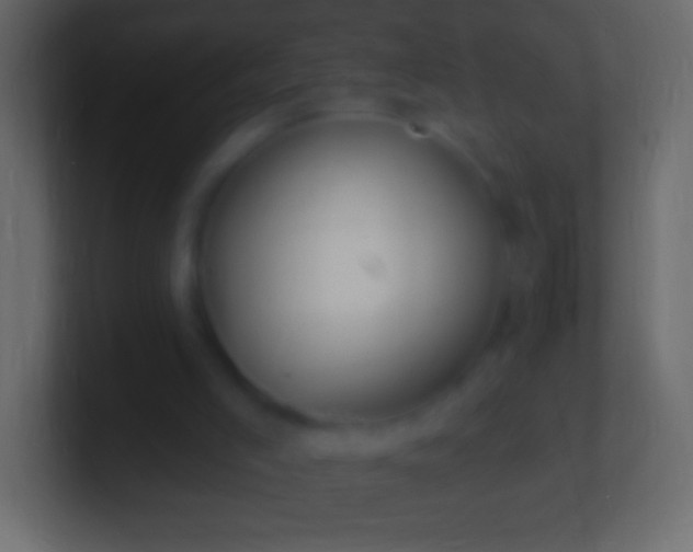 X0000100780005200807031241