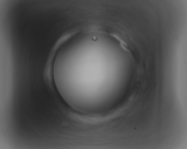 X0000100780006200807031241