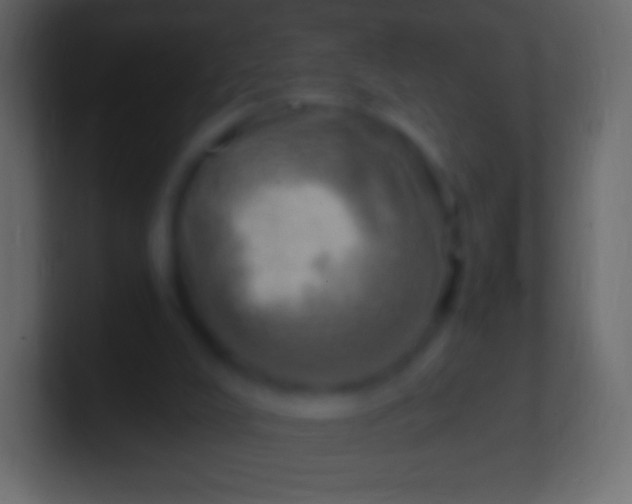 X0000100780008200807031241