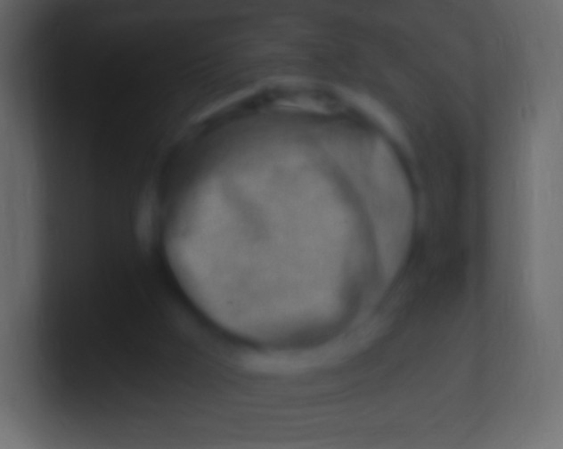 X0000100780009200807031241