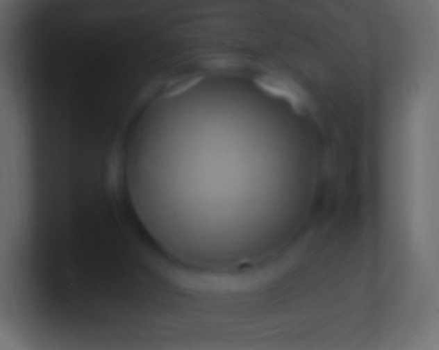 X0000100780010200807031241