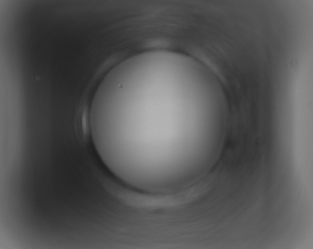 X0000100780011200807031241