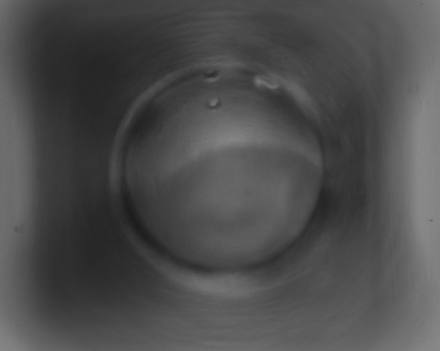 X0000100780012200807031241