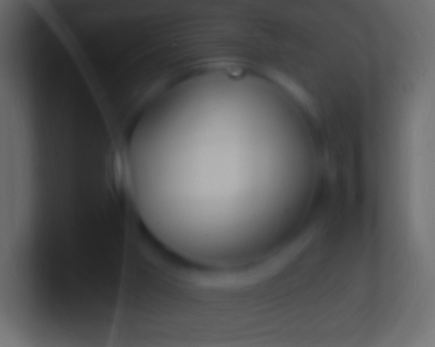 X0000100780013200807031241