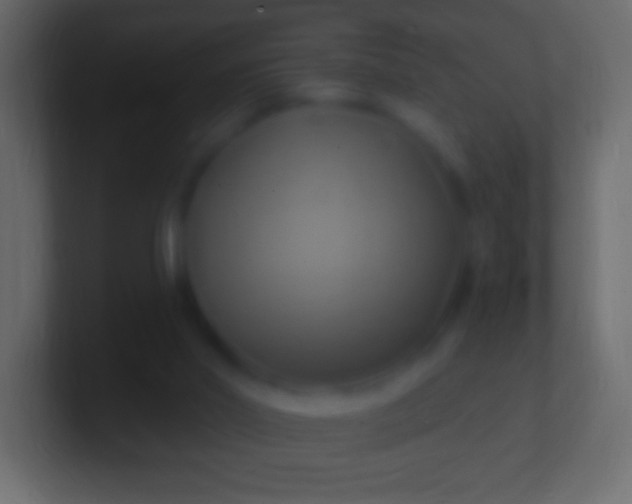 X0000100780014200807031241