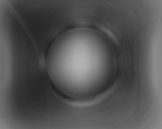 X0000100780017200807031241