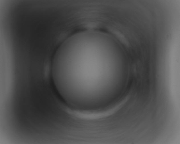 X0000100780018200807031241