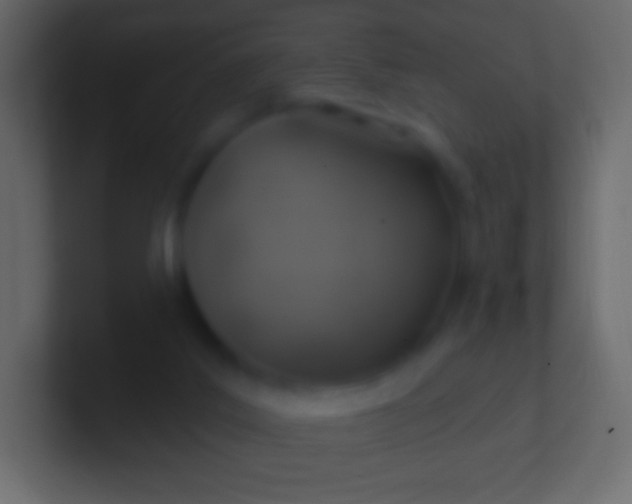 X0000100780019200807031241