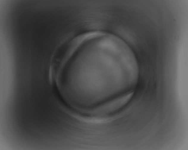 X0000100780020200807031241