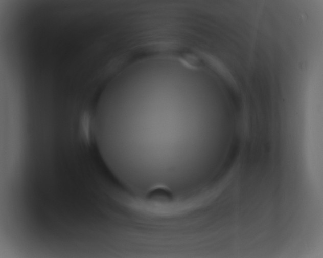 X0000100780022200807031241