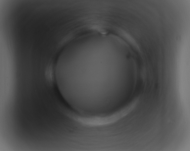 X0000100780023200807031241