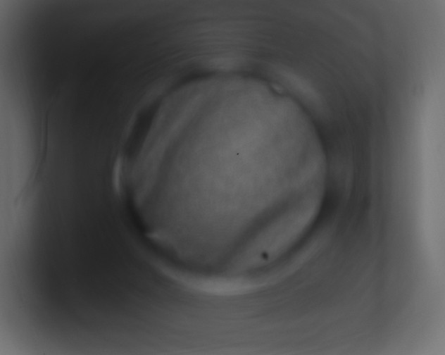 X0000100780024200807031241