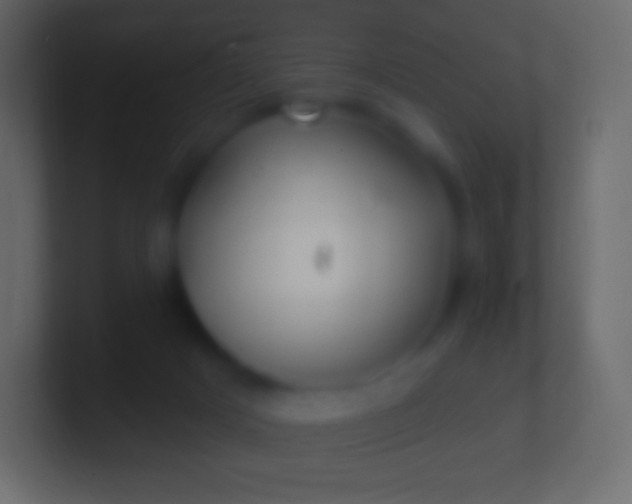 X0000100780025200807031241