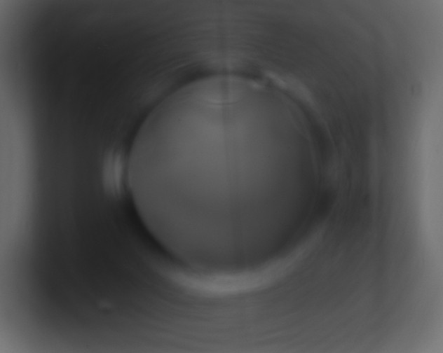 X0000100780027200807031241