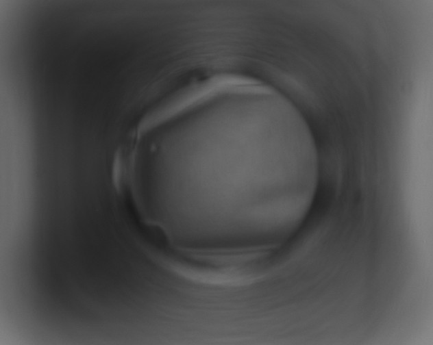 X0000100780028200807031241