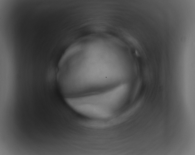 X0000100780029200807031241