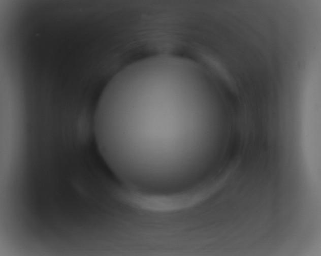 X0000100780030200807031241