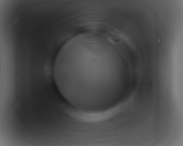 X0000100780031200807031241