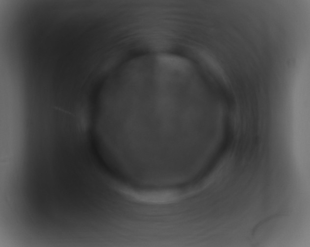 X0000100780032200807031241