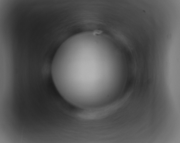 X0000100780033200807031241