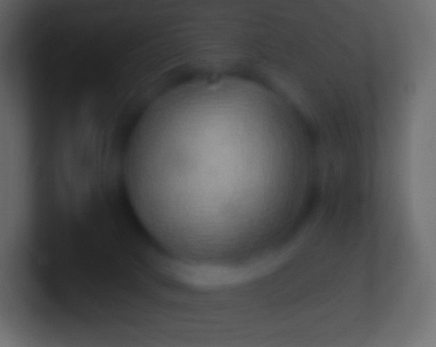 X0000100780034200807031241