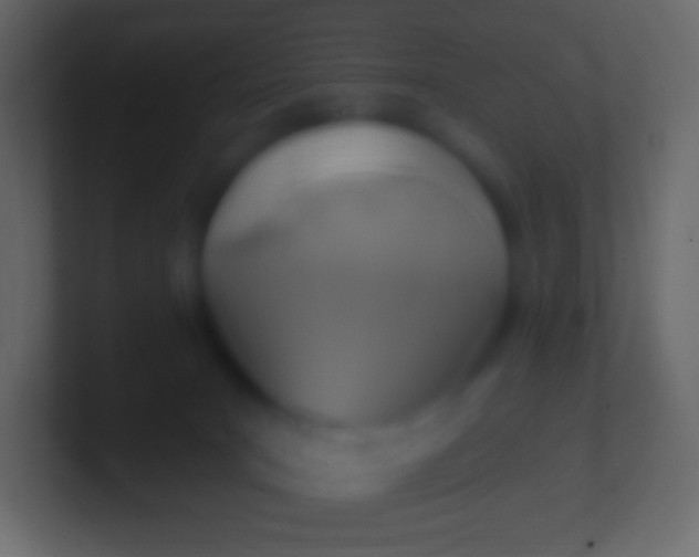 X0000100780035200807031241