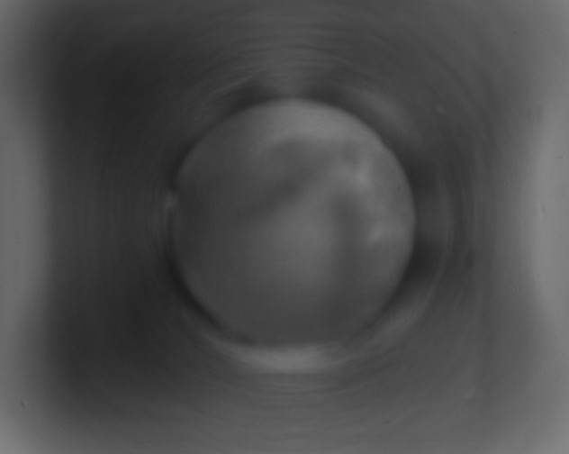 X0000100780036200807031241