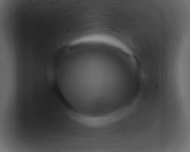 X0000100780039200807031241