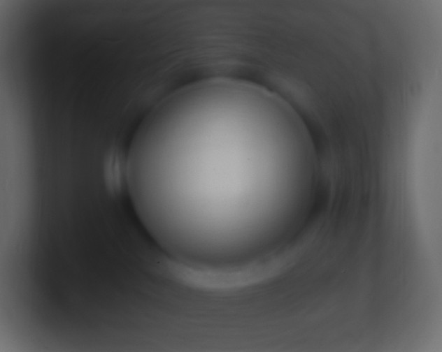 X0000100780042200807031241