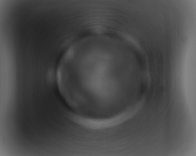 X0000100780043200807031241