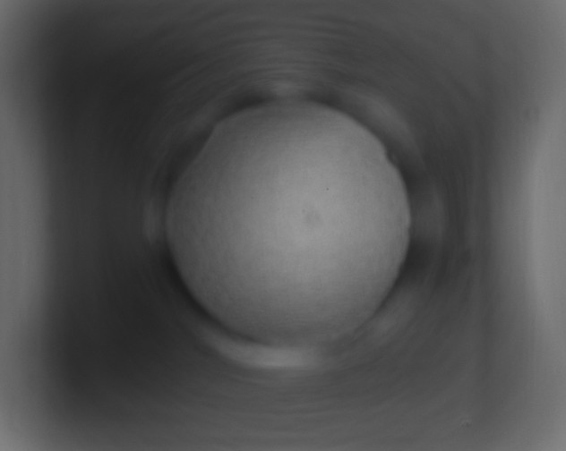 X0000100780044200807031241