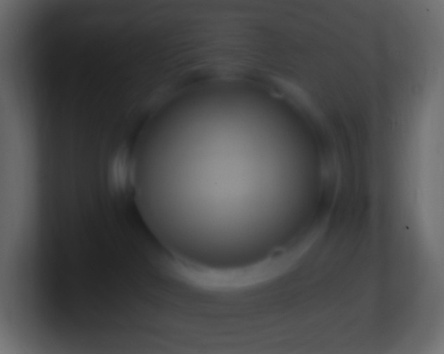 X0000100780046200807031241