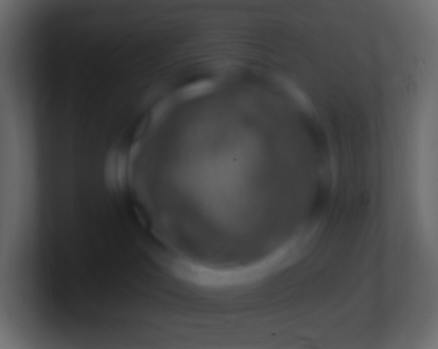 X0000100780047200807031241