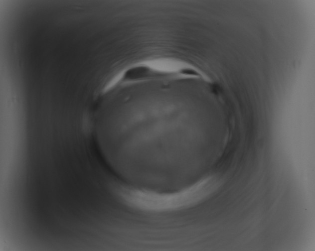 X0000100780048200807031241