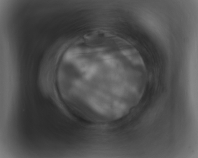 X0000100780049200807031240