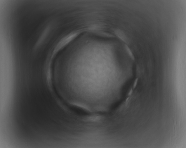 X0000100780050200807031240