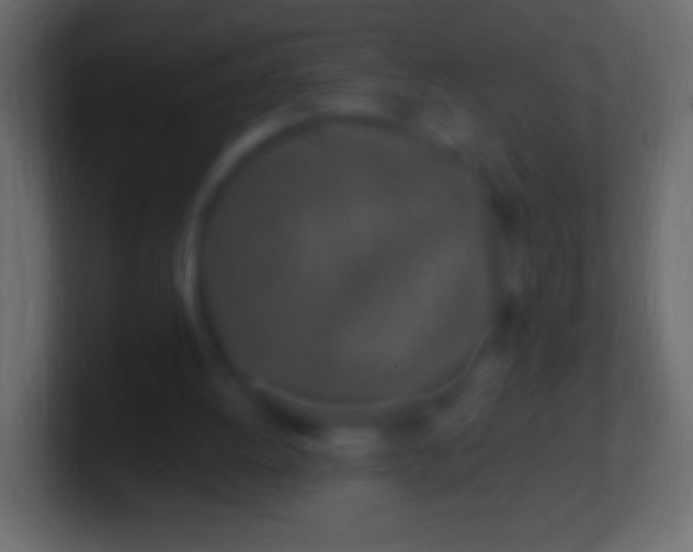 X0000100780052200807031240