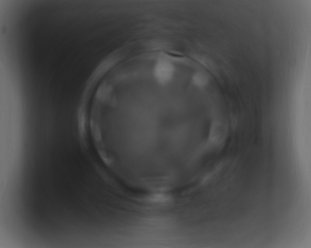 X0000100780053200807031240