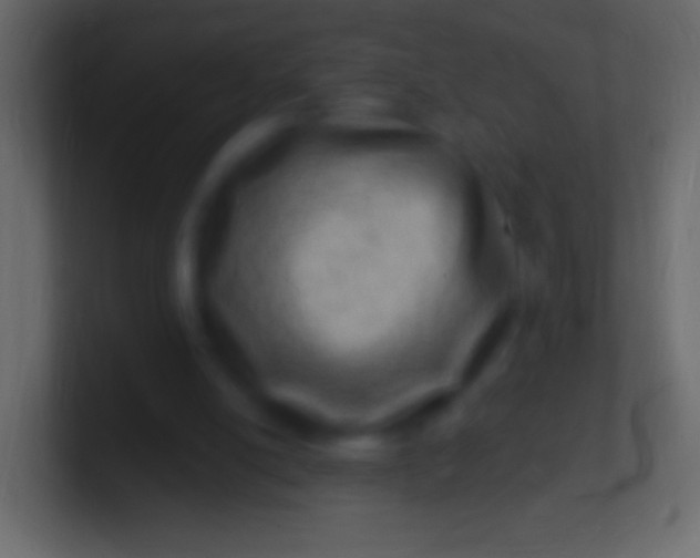 X0000100780054200807031240