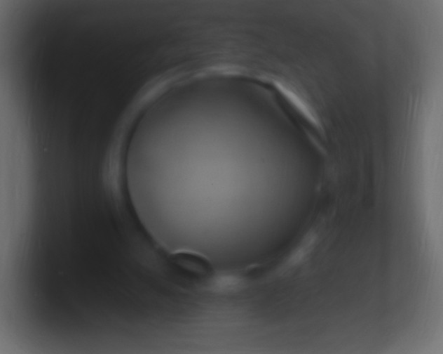 X0000100780055200807031240