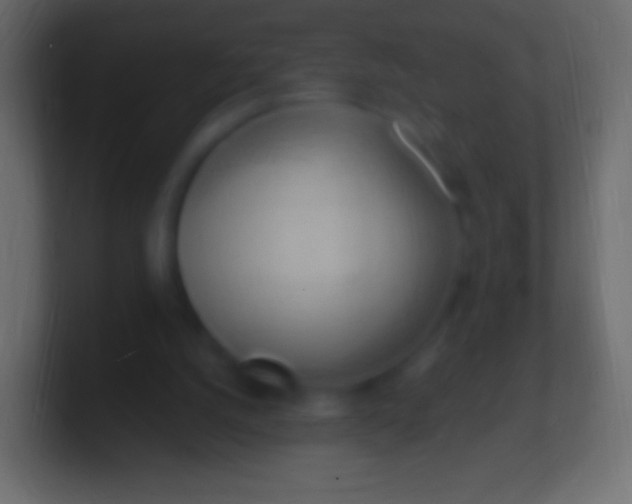 X0000100780056200807031240